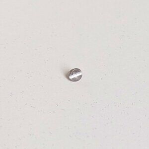 Replacement Screw for Charles Revson The Love Bracelet + Other Brands